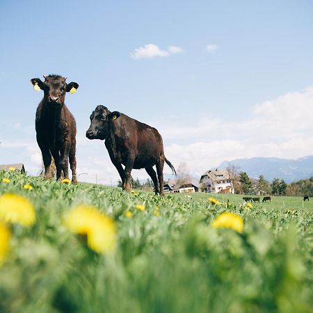 Alpin Farm Linde - Oberweidacherhof Collalbo Exterior photo